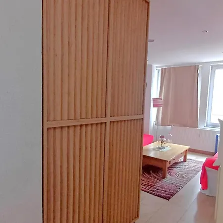 Plein Centre De Appartement *