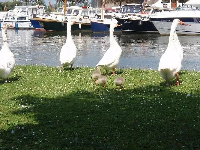 Plein Centre De * Visé